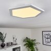 Fanebal Lámpara de Techo LED Blanca, 1 luz