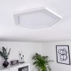 Fanebal Lámpara de Techo LED Blanca, 1 luz