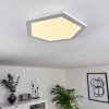 Fanebal Lámpara de Techo LED Blanca, 1 luz