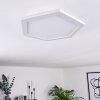 Fanebal Lámpara de Techo LED Blanca, 1 luz