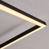 Frederick Lámpara de Techo LED Negro, Blanca, 1 luz