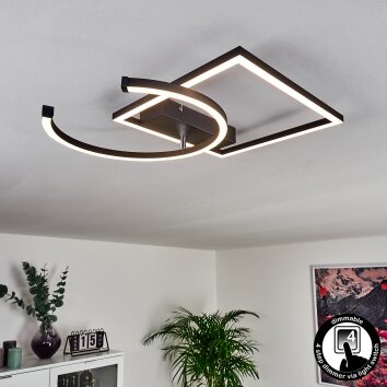 Frederick Lámpara de Techo LED Negro, Blanca, 1 luz