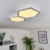 Fanebal Lámpara de Techo LED, 1 luz