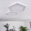 Fanebal Lámpara de Techo LED, 1 luz