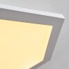 Fanebal Lámpara de Techo LED, 1 luz