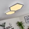 Fanebal Lámpara de Techo LED, 1 luz
