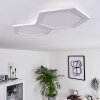 Fanebal Lámpara de Techo LED, 1 luz
