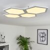Fanebal Lámpara de Techo LED Blanca, 1 luz
