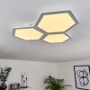 Fanebal Lámpara de Techo LED Blanca, 1 luz