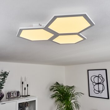 Fanebal Lámpara de Techo LED, 1 luz