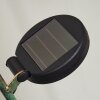 Taft Lámpara solar LED Colores ámbar, Verde, Cobre, 1 luz