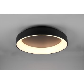 Trio Girona Lámpara de Techo LED Negro, 1 luz, Mando a distancia