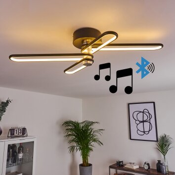 Olul Lámpara de Techo LED Negro, Blanca, 2 luces