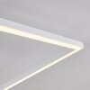 Moya Lámpara de Techo LED Blanca, 1 luz