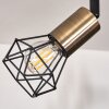 Baripada Lámpara de Techo Latón, Negro, 4 luces