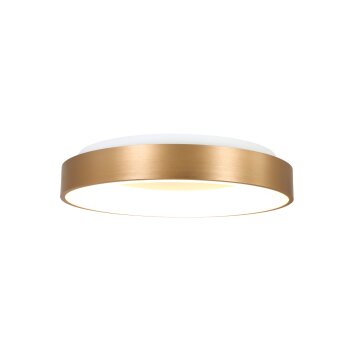 Steinhauer Ringlede Lámpara de Techo dorado, Blanca, 1 luz