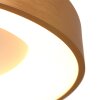 Steinhauer Ringlede Lámpara de Techo dorado, Blanca, 1 luz