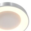 Steinhauer Ringlede Lámpara de Techo Negro, 1 luz