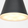 Steinhauer Vortex Lámpara Colgante Negro, 5 luces