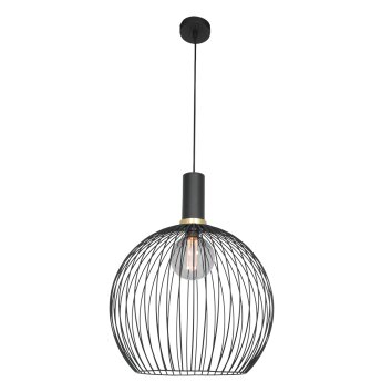 Steinhauer Aureole Lámpara Colgante Negro, 1 luz