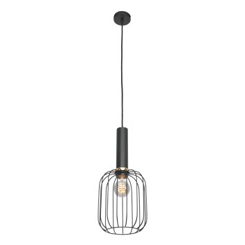 Steinhauer Aureole Lámpara Colgante Negro, 1 luz