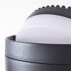 Falatasa Aplique para exterior LED Antracita, 1 luz