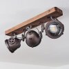 Herford Lámpara de Techo Madera oscura, 3 luces