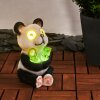 Pandia Lámpara solar LED Transparente, 2 luces