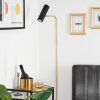 Zuoz Lámpara de Pie Latón, Negro, 1 luz