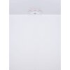 Globo SANTINA Lámpara de Techo LED Blanca, 1 luz, Mando a distancia