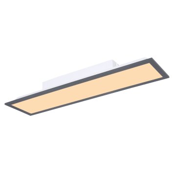Globo DORO Lámpara de Techo LED, 1 luz