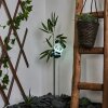 Beo Lámpara solar LED Verde, Negro, Blanca, 1 luz