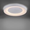 Leuchten Direkt ANIKA Lámpara de Techo LED Blanca, 1 luz, Mando a distancia