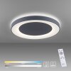 Leuchten Direkt ANIKA Lámpara de Techo LED Antracita, 1 luz, Mando a distancia