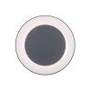 Leuchten Direkt ANIKA Lámpara de Techo LED Antracita, 1 luz, Mando a distancia