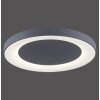 Leuchten Direkt ANIKA Lámpara de Techo LED Antracita, 1 luz, Mando a distancia