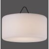 Leuchten Direkt HOLLY Lámpara Colgante LED Negro, Blanca, 1 luz, Cambia de color