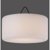 Leuchten Direkt HOLLY Lámpara Colgante LED Negro, Blanca, 1 luz, Cambia de color