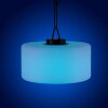 Leuchten Direkt HOLLY Lámpara Colgante LED Negro, Blanca, 1 luz, Cambia de color