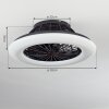 Piraeus Ventilador de techo LED Negro, 1 luz, Mando a distancia