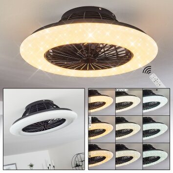 Piraeus Ventilador de techo LED Negro, 1 luz, Mando a distancia