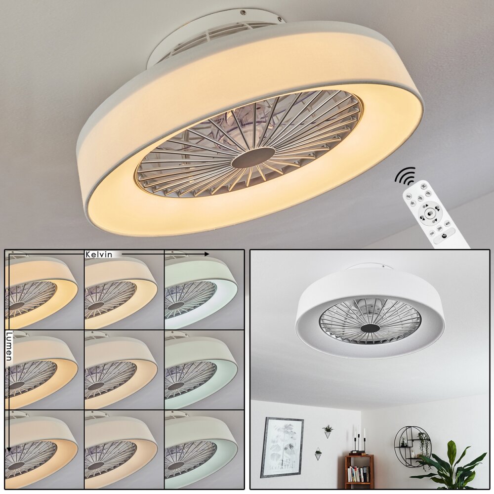 Moli Ventilador de techo LED Blanca, 1 luz, Mando a distancia