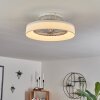 Moli Ventilador de techo LED Blanca, 1 luz, Mando a distancia