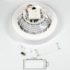 Moli Ventilador de techo LED Blanca, 1 luz, Mando a distancia