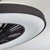 Qualiano Ventilador de techo LED Negro, Blanca, 1 luz, Mando a distancia