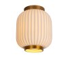 Lucide GOSSE Lámpara de Techo Negro, 1 luz