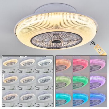 Riccione Ventilador de techo LED Blanca, 1 luz, Mando a distancia, Cambia de color