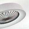 Moli Ventilador de techo LED Gris, Blanca, 1 luz, Mando a distancia