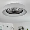 Moli Ventilador de techo LED Gris, Blanca, 1 luz, Mando a distancia