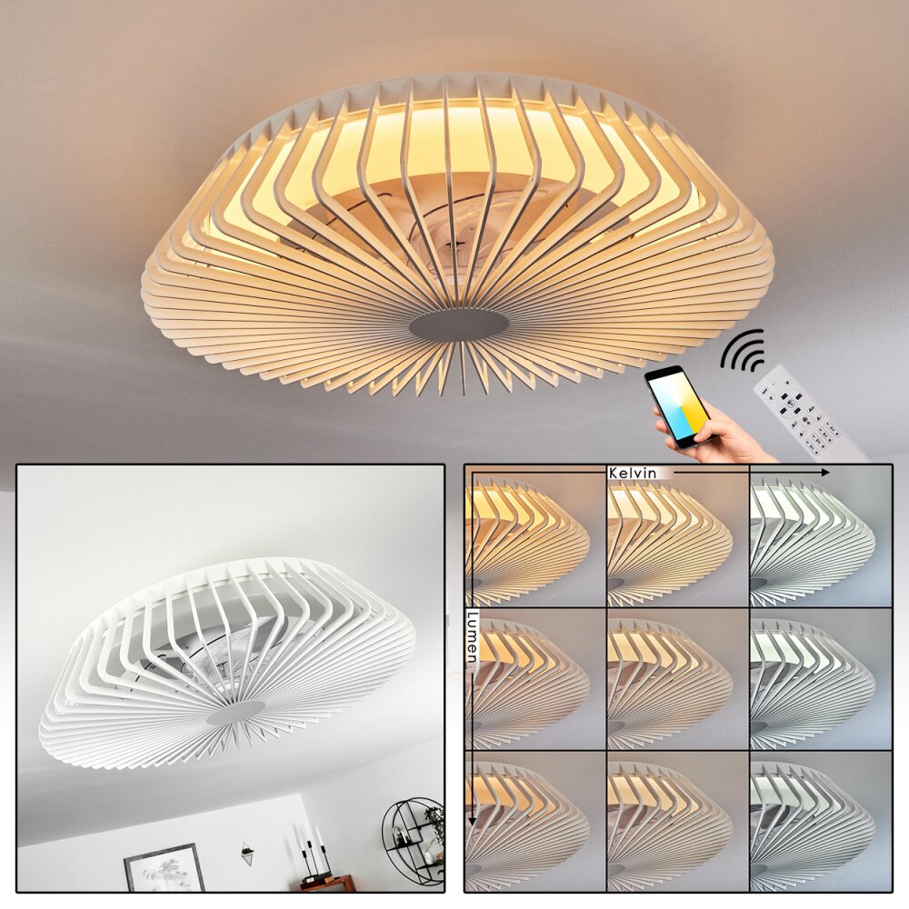 Rivarotta Ventilador de techo LED Blanca, 1 luz, Mando a distancia main product photo